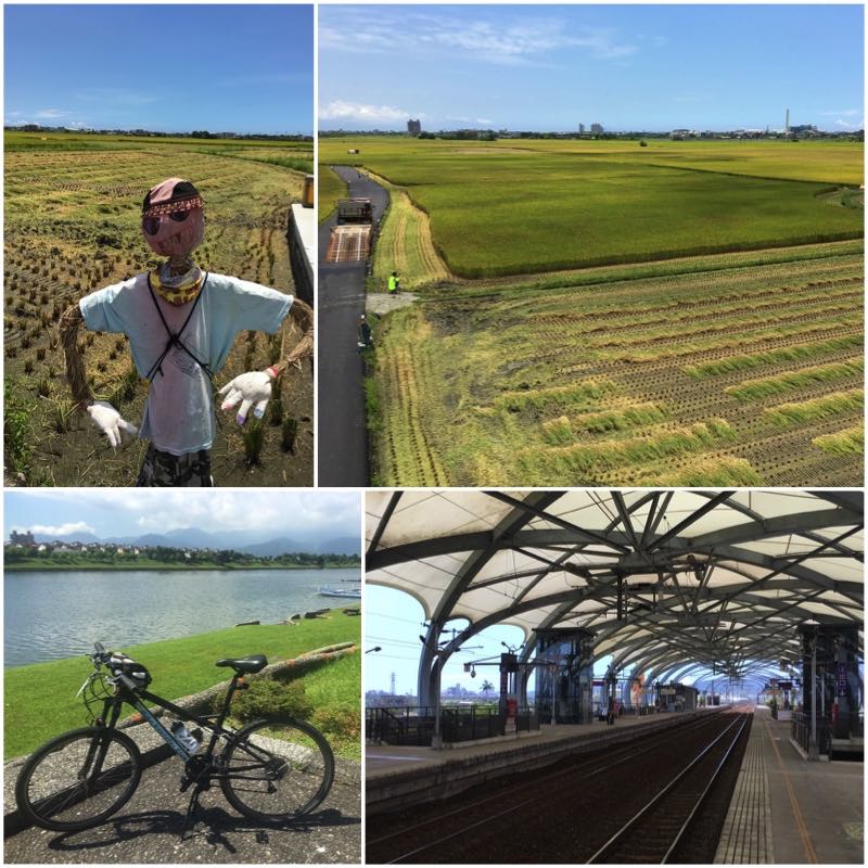 Scarecrow, rice paddy field, bicycle and train platform