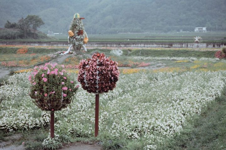 My First Cycling Trip in Taiwan Day 8