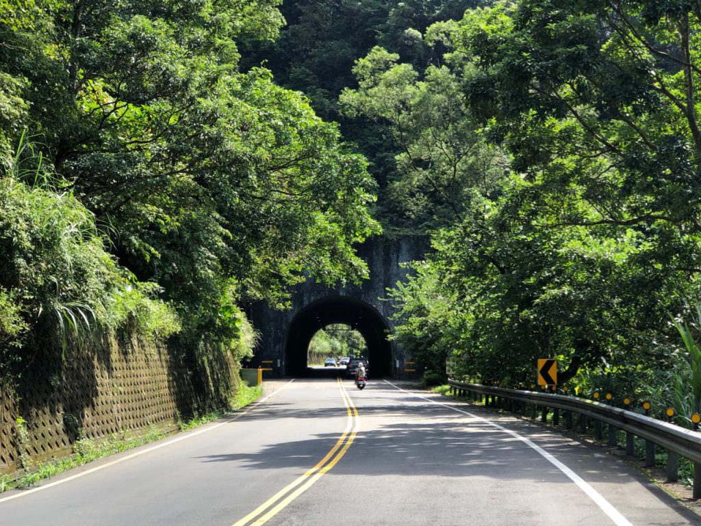 Road Tree Tunnel