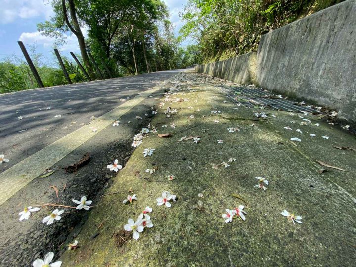 Product Review: Real-Time Location Sharing Feature of Velodash